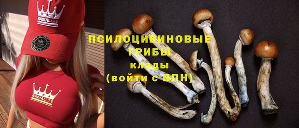 мяу мяу кристалл Арсеньев